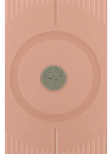 Lagaminas 55 cm RC 2.0 Pink