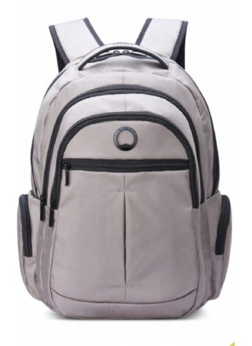 Kuprinė Delsey ELEMENT BACKPACKS 15.6