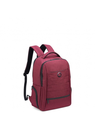 Kuprinė Delsey ELEMENT BACKPACKS 15.6