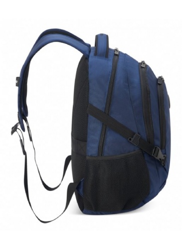 Kuprinė Delsey ELEMENT BACKPACKS 15.6